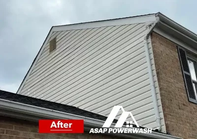 Expert House Pressure Washing