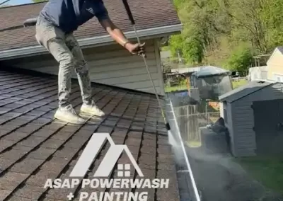 Expert House Pressure Washing