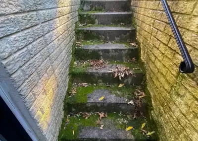 Expert House Pressure Washing