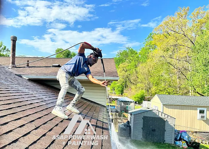 Professional Pressure Washing Services